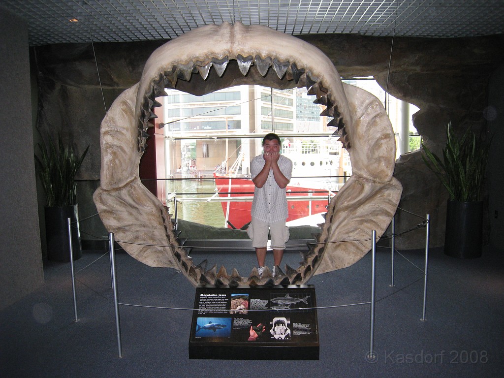 Baltimore MD 2009 2050.jpg - A 4th of July trip to Washington DC in 2009 included a stop in Baltimore MD to see the National Aquarium.